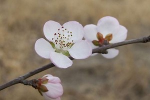 两男一女斗地主视频